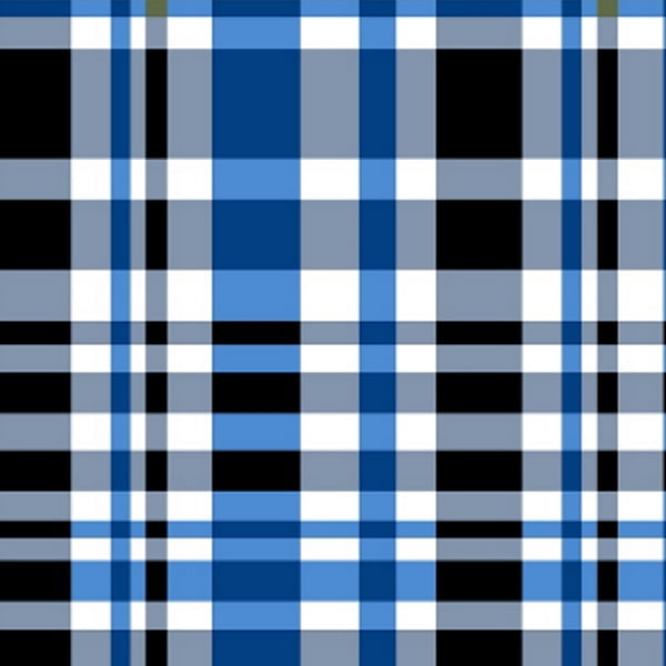 Tecido Chita 100 Algodao Xadrez 24 1 Tecidos Na Internet Loja De Tecidos Online Com Qualidade E Seguranca