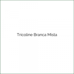 Tricoline Mista Lisa Branca M101 TRICOLINE LISO