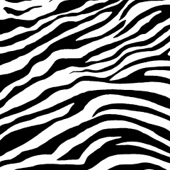Tecido Tricoline Estampado Zebra DX2577-5